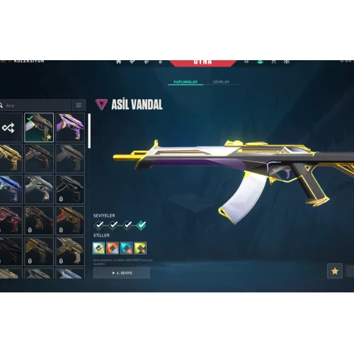  167 Lvl 70+ kaplama Pazarlık✅ Mailli İlk Mail+